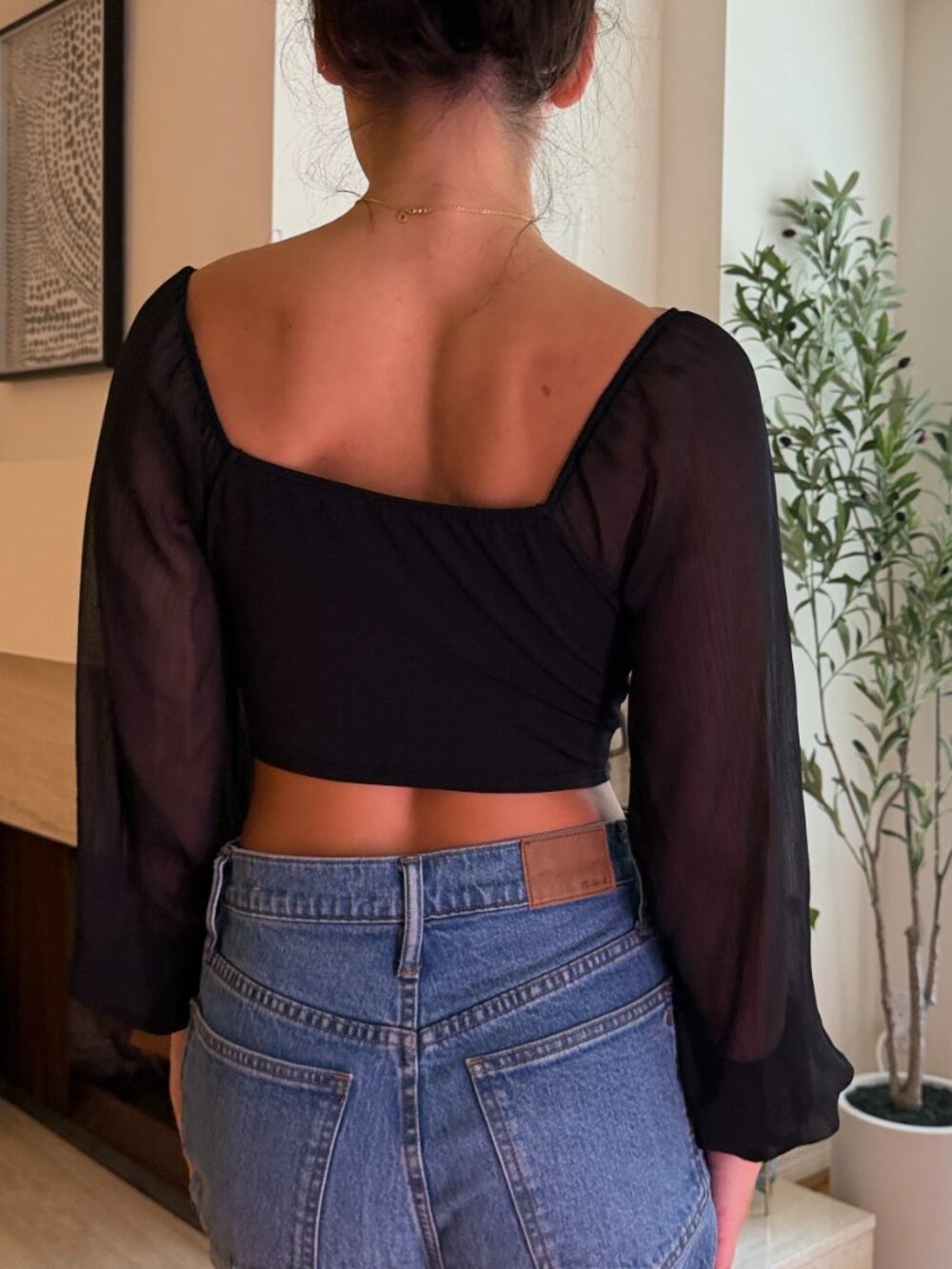 Blue Rain Black Sheer Sleeve Tie Front Crop Top – Corset Style (Size S) - Picture 3 of 5
